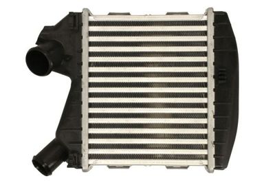 Charge Air Cooler THERMOTEC DAM031TT