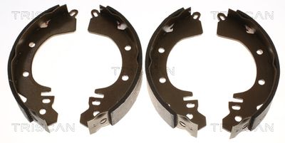 Brake Shoe Set TRISCAN 8100 42422