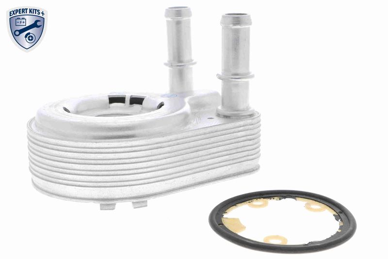 VEMO V24-60-0021 Oil Cooler, engine oil