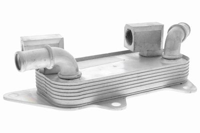 Oil Cooler, engine oil VEMO V48-60-0026