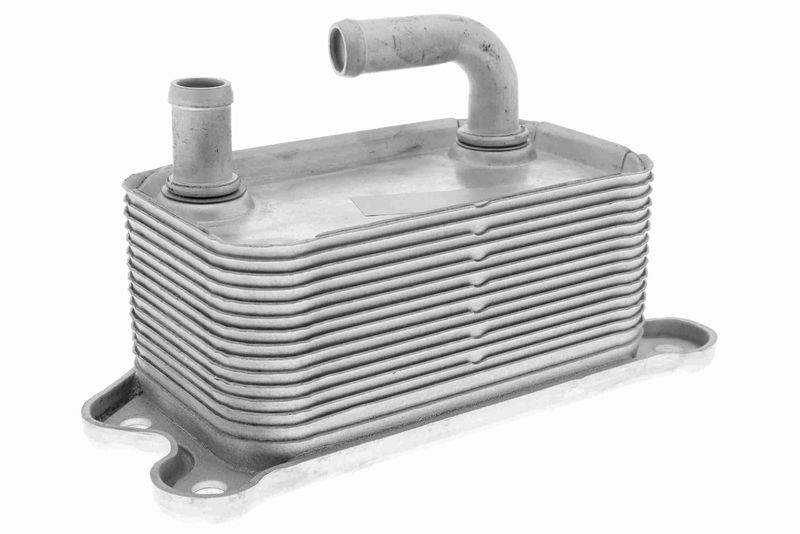 VEMO V95-60-0011 Oil Cooler, engine oil